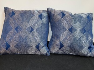 Set Of 2 Matching Accent Pillows (Blue)