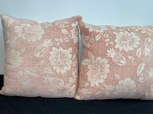 Set Of 2 Matching Accent Pillows