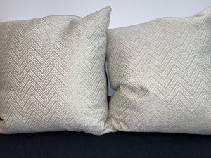 Set Of 2 Matching Accent Pillows
