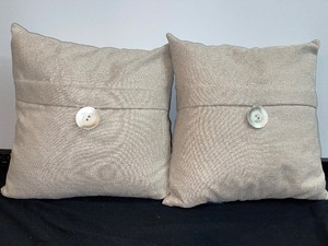 Set Of 2 Matching Accent Pillows