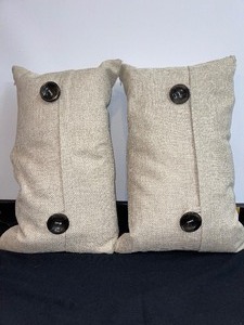 Set Of 2 Matching Accent Pillows