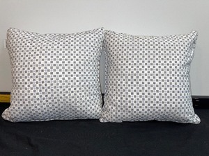 Set Of 2 Matching Accent Pillows