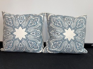 Set Of 2 Matching Accent Pillows
