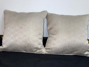 Set Of 2 Matching Accent Pillows