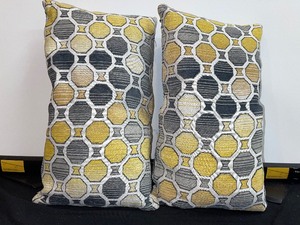 Set Of 2 Matching Accent Pillows