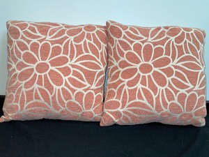 Set Of 2 Matching Accent Pillows