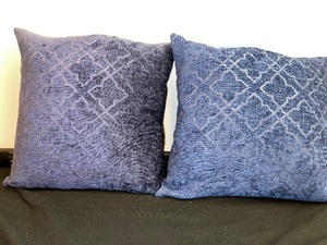 Set Of 2 Matching Accent Pillows