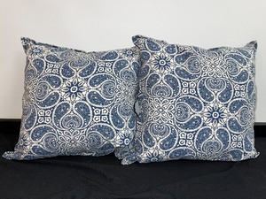 Set Of 2 Matching Accent Pillows