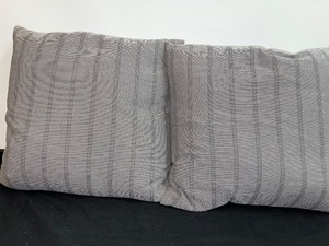 Set Of 2 Matching Accent Pillows