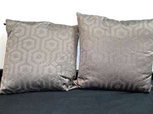 Set Of 2 Matching Accent Pillows