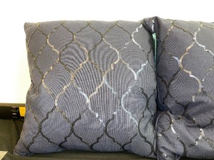 Set Of 2 Matching Accent Pillows