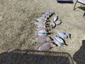 Duck decoys Qty. 14 no bag