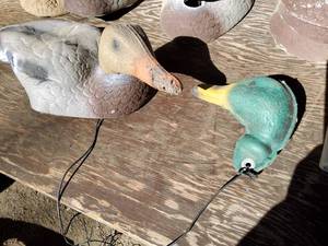 Foam body duck decoys w some removable heads.