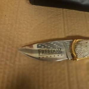 Folding Eagle knife with carry case.