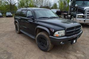 lot 19 image: 2002 Dodge Durango