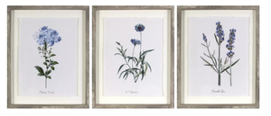 lot 131 image: (Set of 3) 16x20 Framed Vintage Botanicals Decorative Wall Art NaturalBlue
