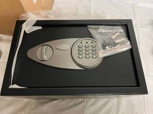 Sentry Safe Digital Safe with Keys Included