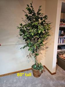 lot 95 image: Faux Fig Tree