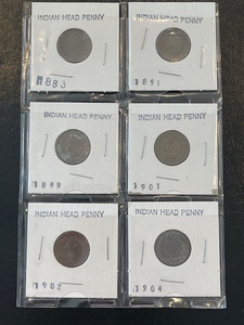 lot 83 image: Indian Head Cents