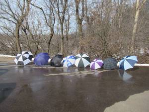lot 75 image: Large lot of Umbrellas