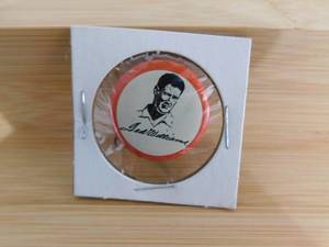 Vintage Ted Williams Boston Red Sox Button RARE
