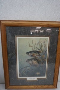 lot 4 image: Terry Doughty Black Crappies Picture