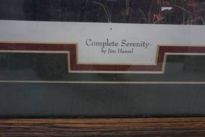 lot 7 image: Jim Hensel Complete Serenity Picture
