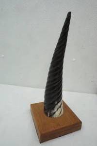 lot 42 image: Art Decor  Horn on wood Base