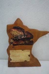 lot 44 image: MN Shaped Home Decor