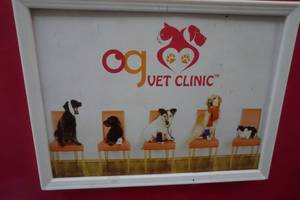 lot 46 image: Our Generation Vet Clinic with some accessories