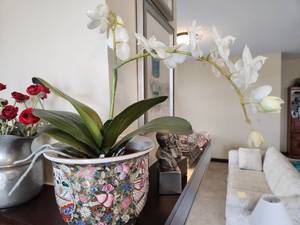 lot 45 image: Antique Porcelain Painted Pot with Faux Orchid