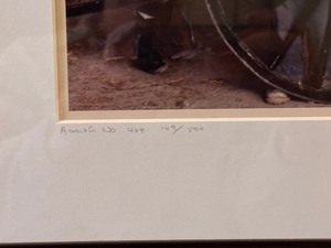 lot 53C image: Amish Framed Print by Bill Coleman Amish No 464 149500