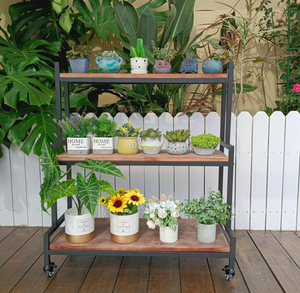 lot 176 image: Rustic Plant Stand with Wheels, Rolling Plant Shelves Rack Indoor Outdoor