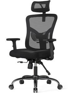lot 46 image: NOBLEWELL Ergonomic Office Chair, Desk Chair with 2 Adjustable Lumbar Support