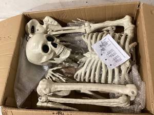 lot 473 image: 60 LIFE SIZED SKELETON