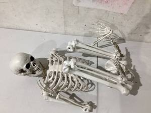 lot 474 image: 5.4ft Life Sized Skeleton