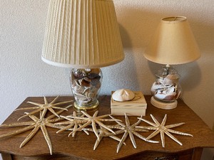 Set of two glass seashell lamps, Starfish and Seastar