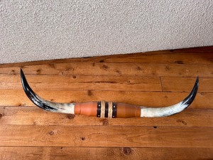 lot 8 image: Longhorn Wall Decor