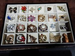 Lot Of Brooches (Not The Tray)