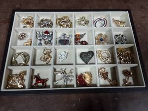 Lot Of Brooches (Not The Tray)