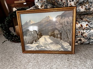 lot 217 image: Framed Print Blanket of Snow