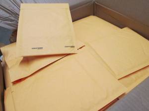 Case of 250 Coastwide 6x9 inch Kraf...