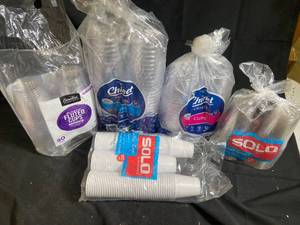 Assorted Disposable Plastic Cups Variety Pack