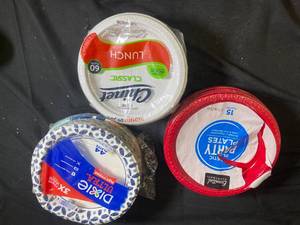 Bulk Lot of Assorted Disposable Plates - 160 Count