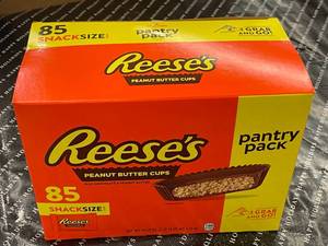lot 926 image: Reeses Pantry Pack 85 Snack Size Cups