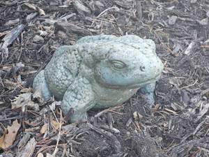 lot 99 image: Large Concrete Garden Toad