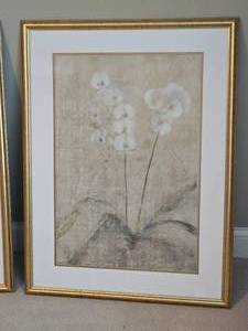lot 49 image: Cheri Blum set of Prints Narcissus & Orchid Flowers