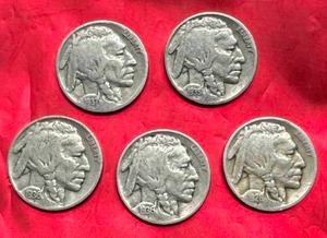 lot 31 image: Lot of 5 Buffalo Nickels