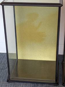 lot 66 image: Pair of Glass Display Cases