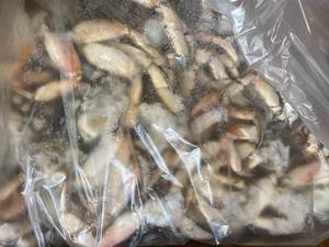 G - Clawless Jonah Crab Clusters - 35Lbs